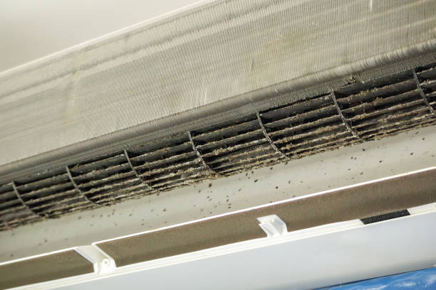 Best Home Air Vent Cleaning  in Ukiah, CA